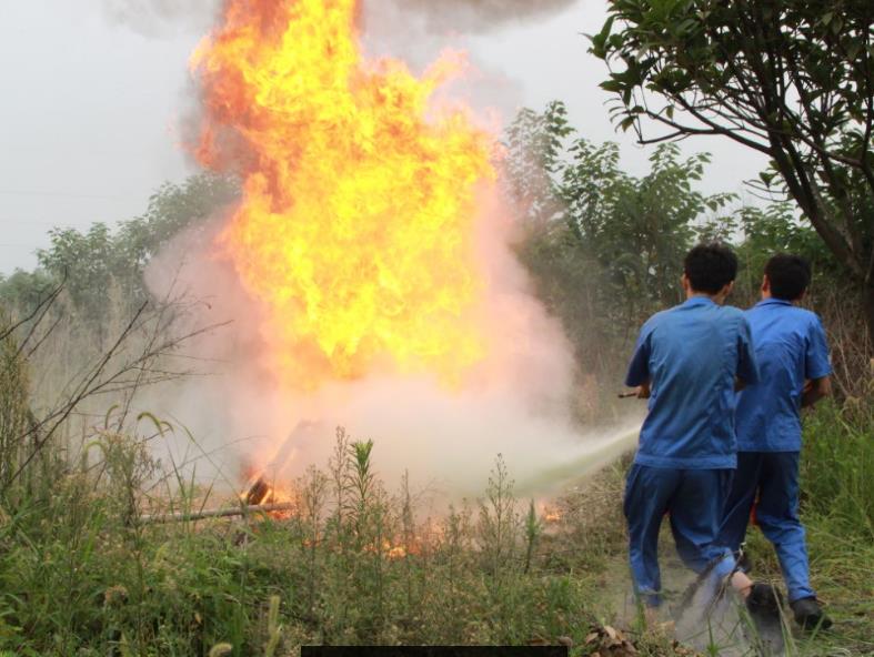 正恒動(dòng)力員工滅火演練